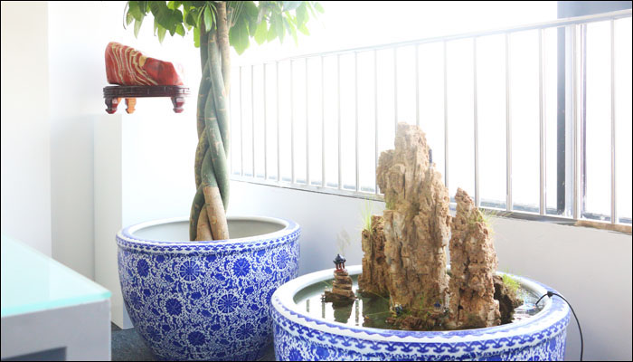 山環(huán)水抱,藏風(fēng)聚氣